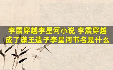 李震穿越李星河小说 李震穿越成了潇王遗子李星河书名是什么